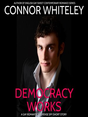 cover image of Democracy Works